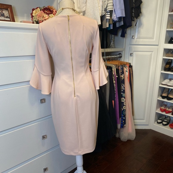 Calvin Klein Blush colored Sheath dress with 3/4 length Tulip sleeves. Size 6 - Picture 2 of 7